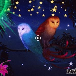 Meet your Posher, Julie 'ann